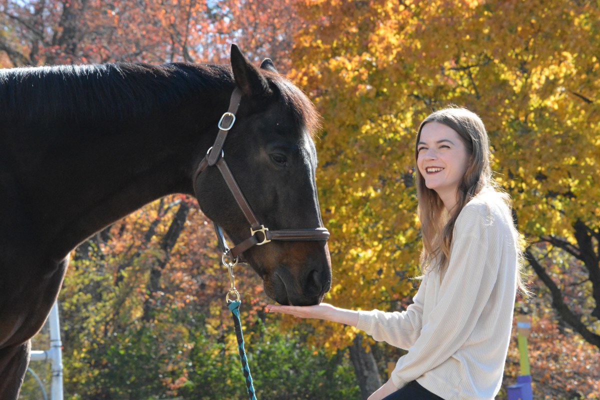 A smiling woman holds a black horse’s lead beneath golden autumn leaves.
